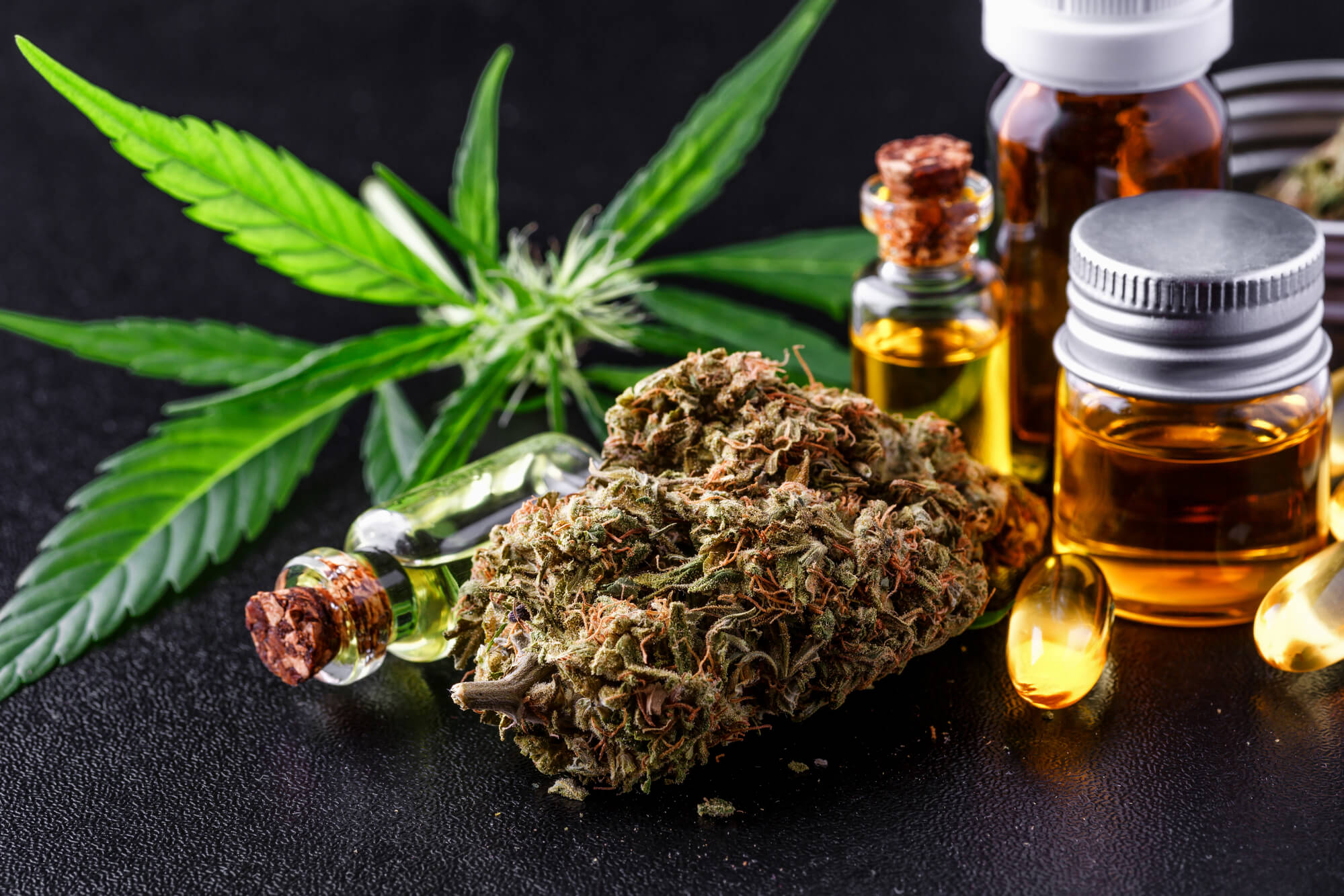 Top-Shelf CBD Hemp Flowers of 2022: A List of the Best CBD Flowers