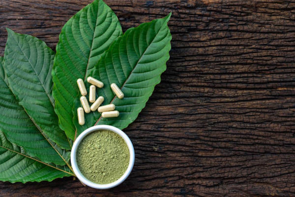 Best Kratom Powder